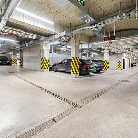 Nova Letnica - Billberry Daire *