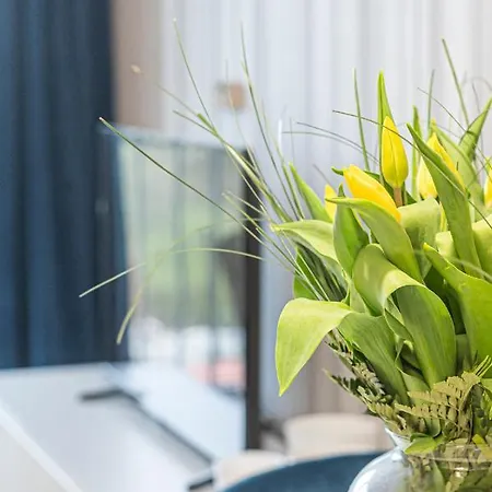 Nova Letnica - Billberry *