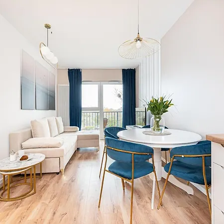 Nova Letnica - Billberry *